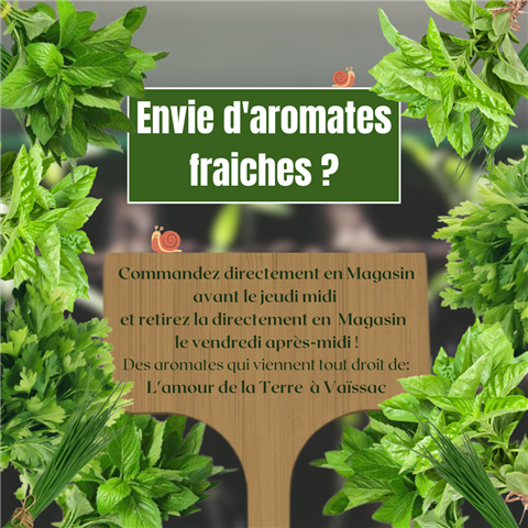 🌿 Envie d'Aromates Fraîches ?  